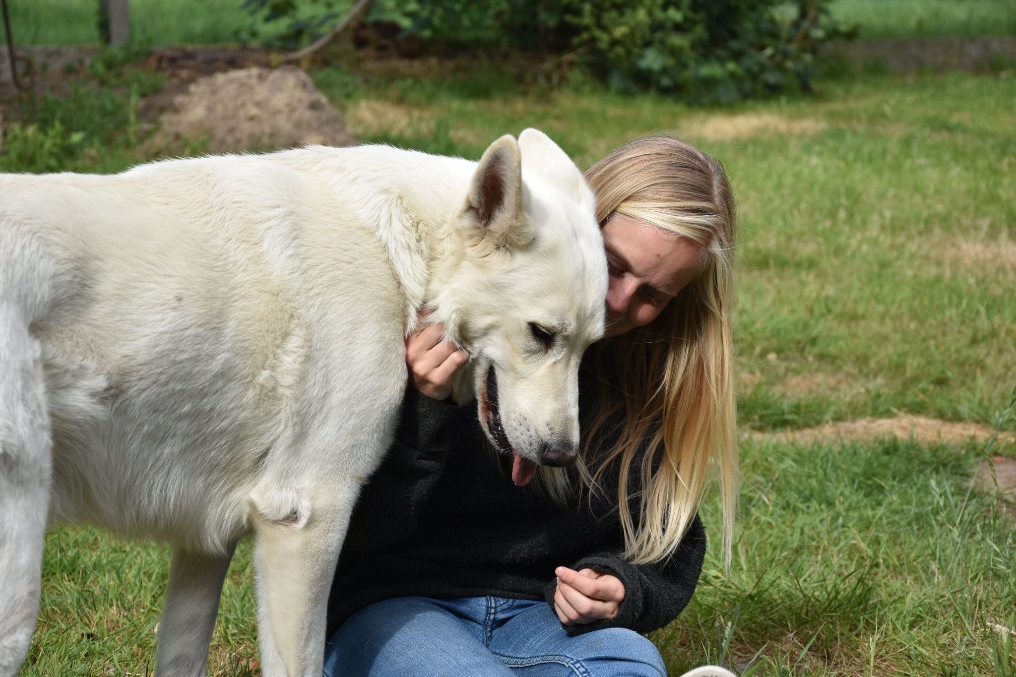 hondentrainers Torhout | Ecotoop