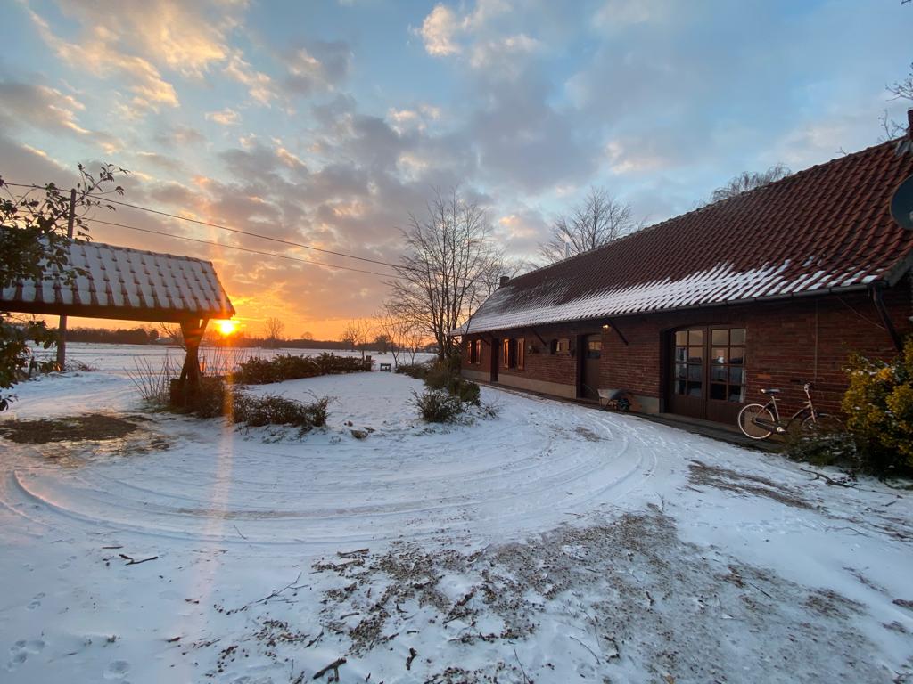 hondentrainers Molenbeersel | Op 't Haenke Trainingscentrum